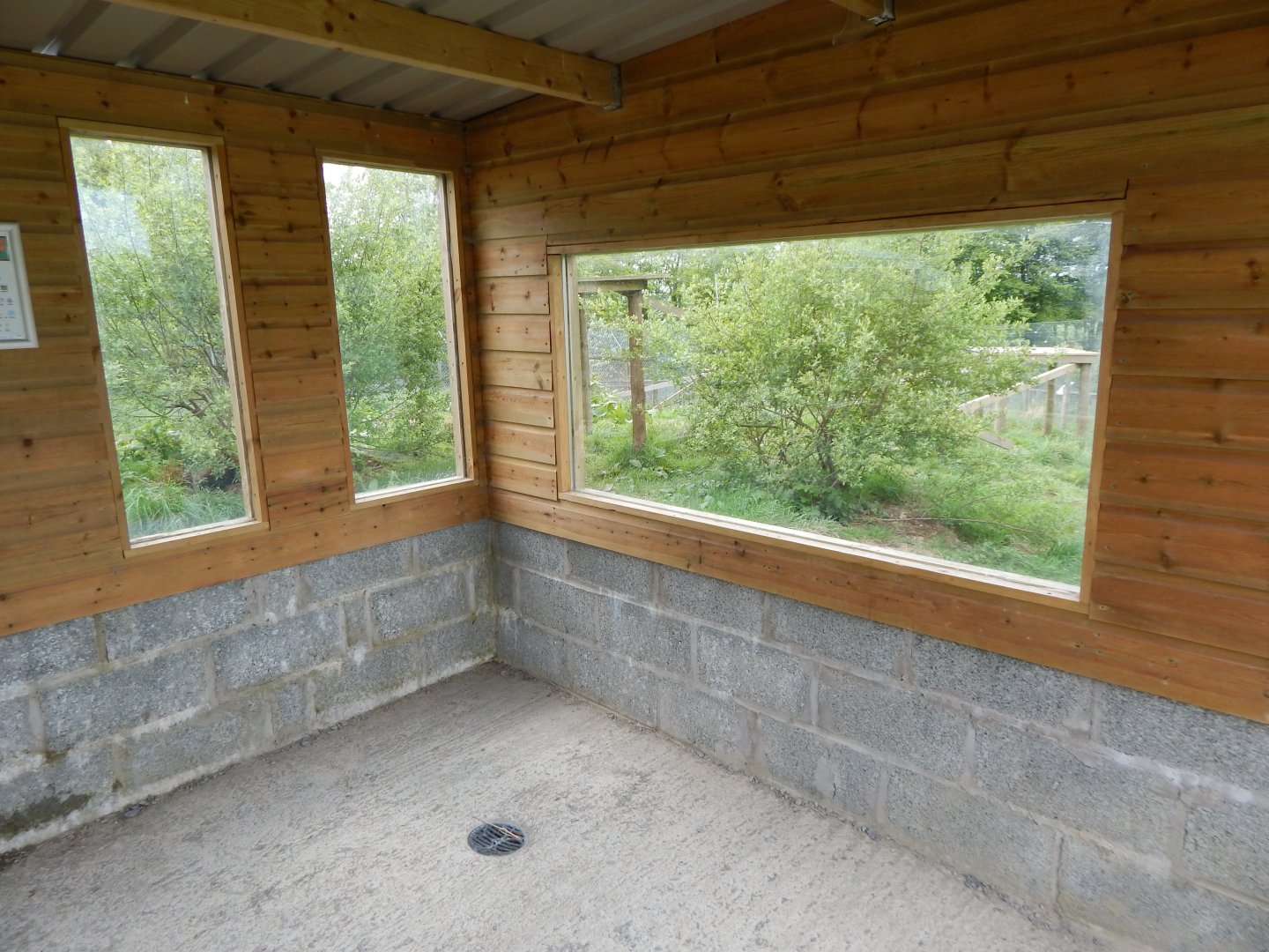 Eurasian wolverine viewing window 150522