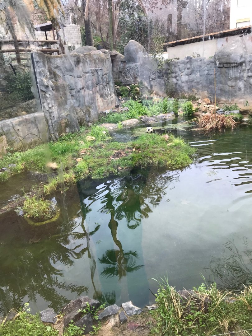 Eurasion otter exhibit