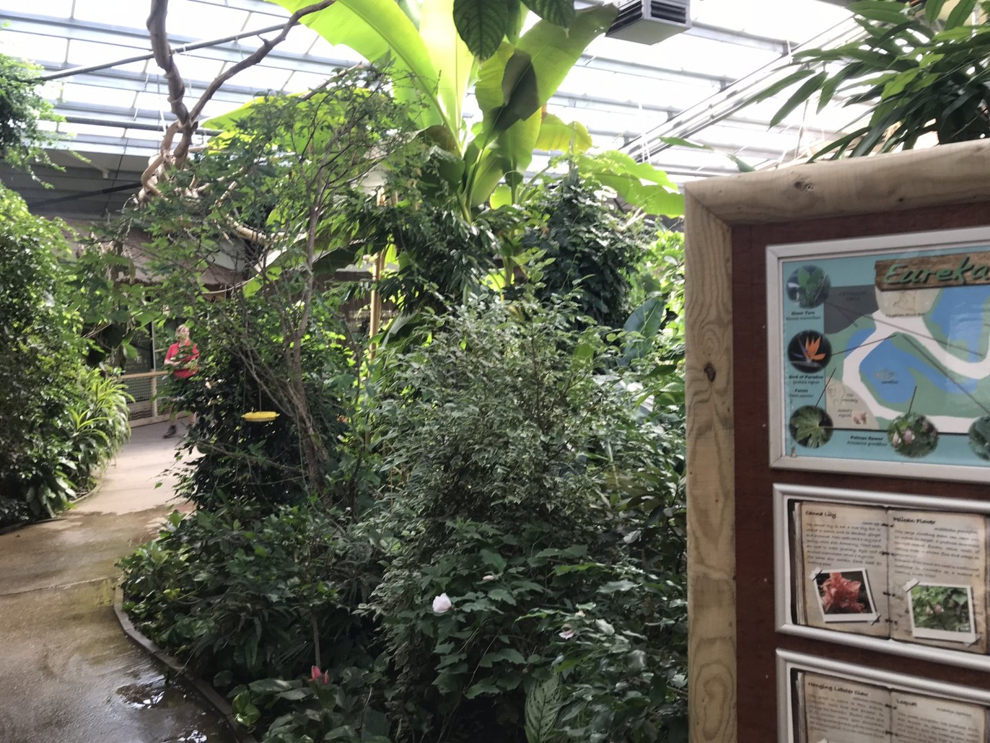 Eureka interior 100818