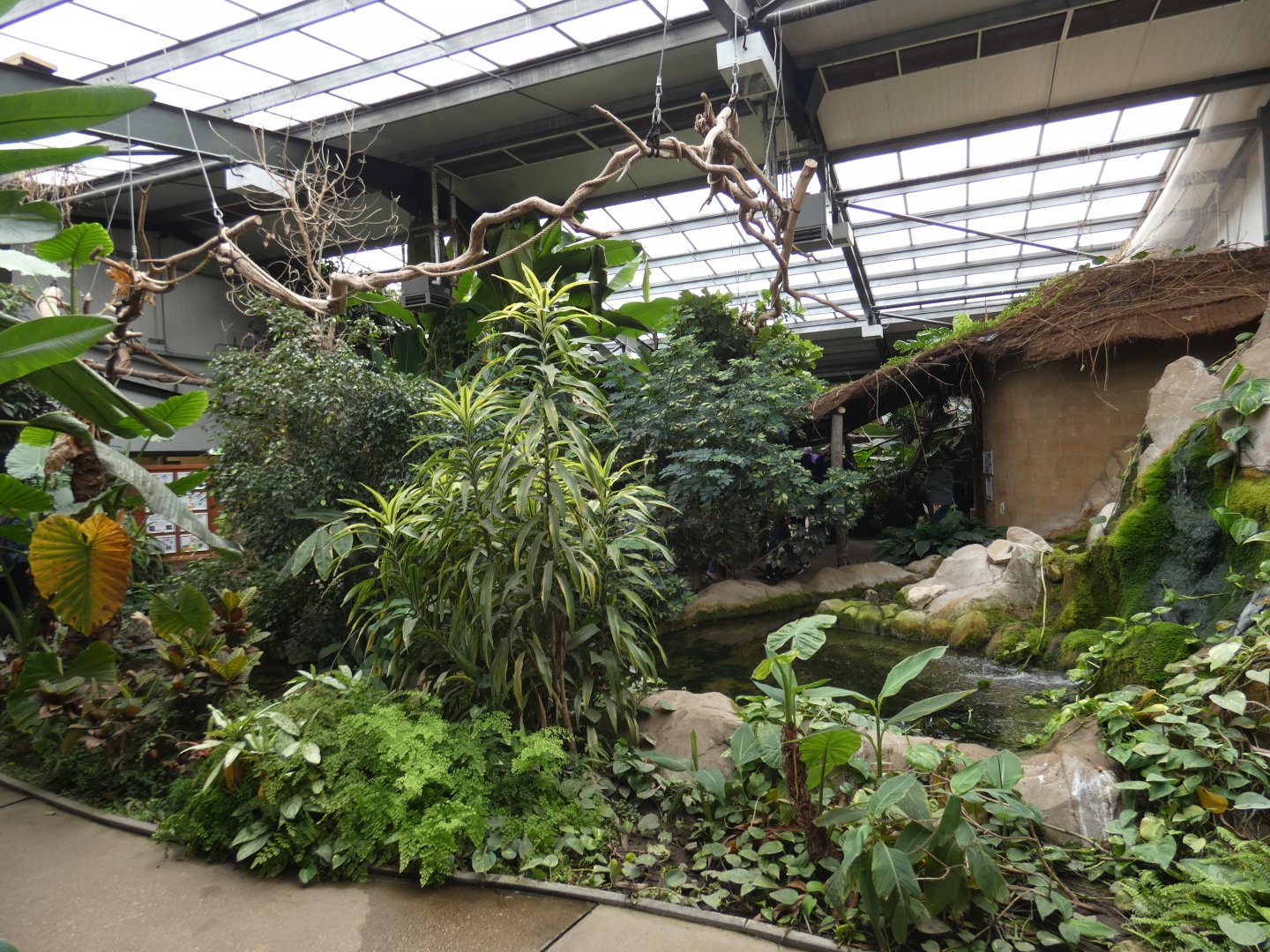 Eureka tropical house interior