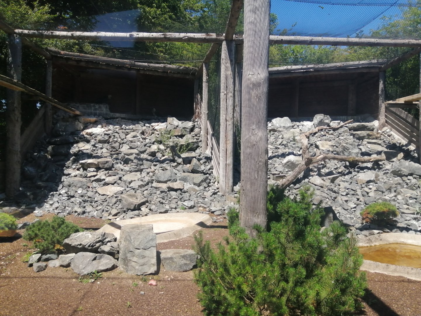 Europa - Bearded Vulture aviary