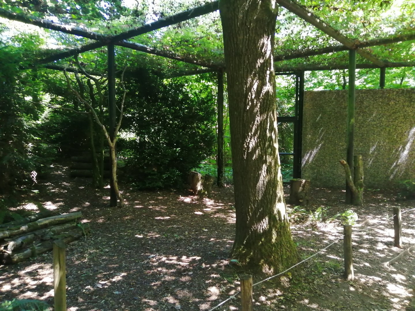 Europa - Small walkthrough aviary