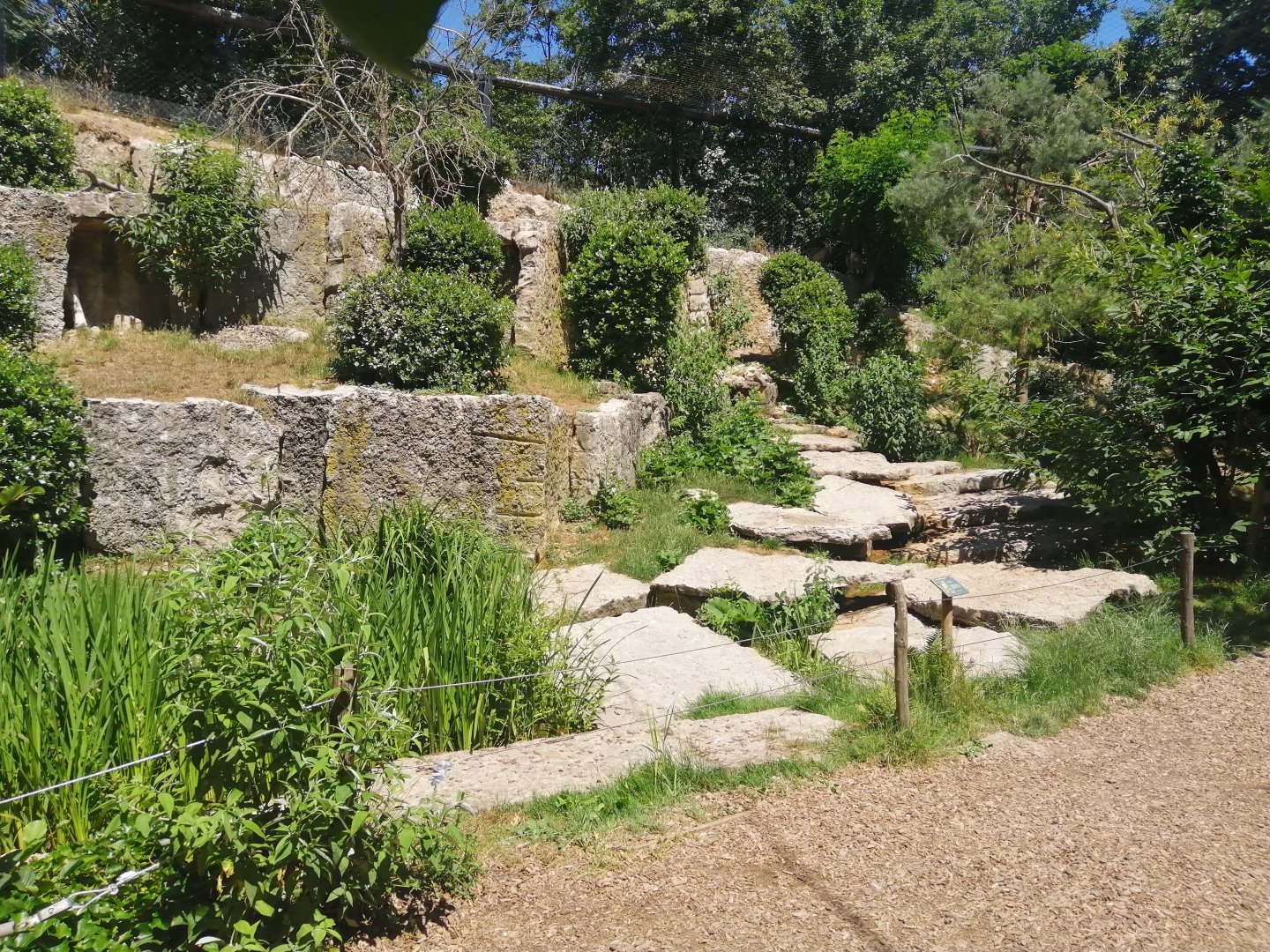 Europa - Vulture walkthrough aviary