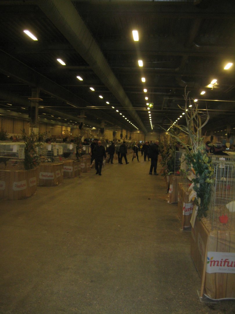 Europaschau 2018 - Poultry hall #1