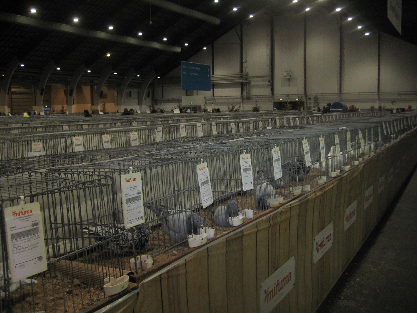 Europaschau 2018 - Poultry hall #3