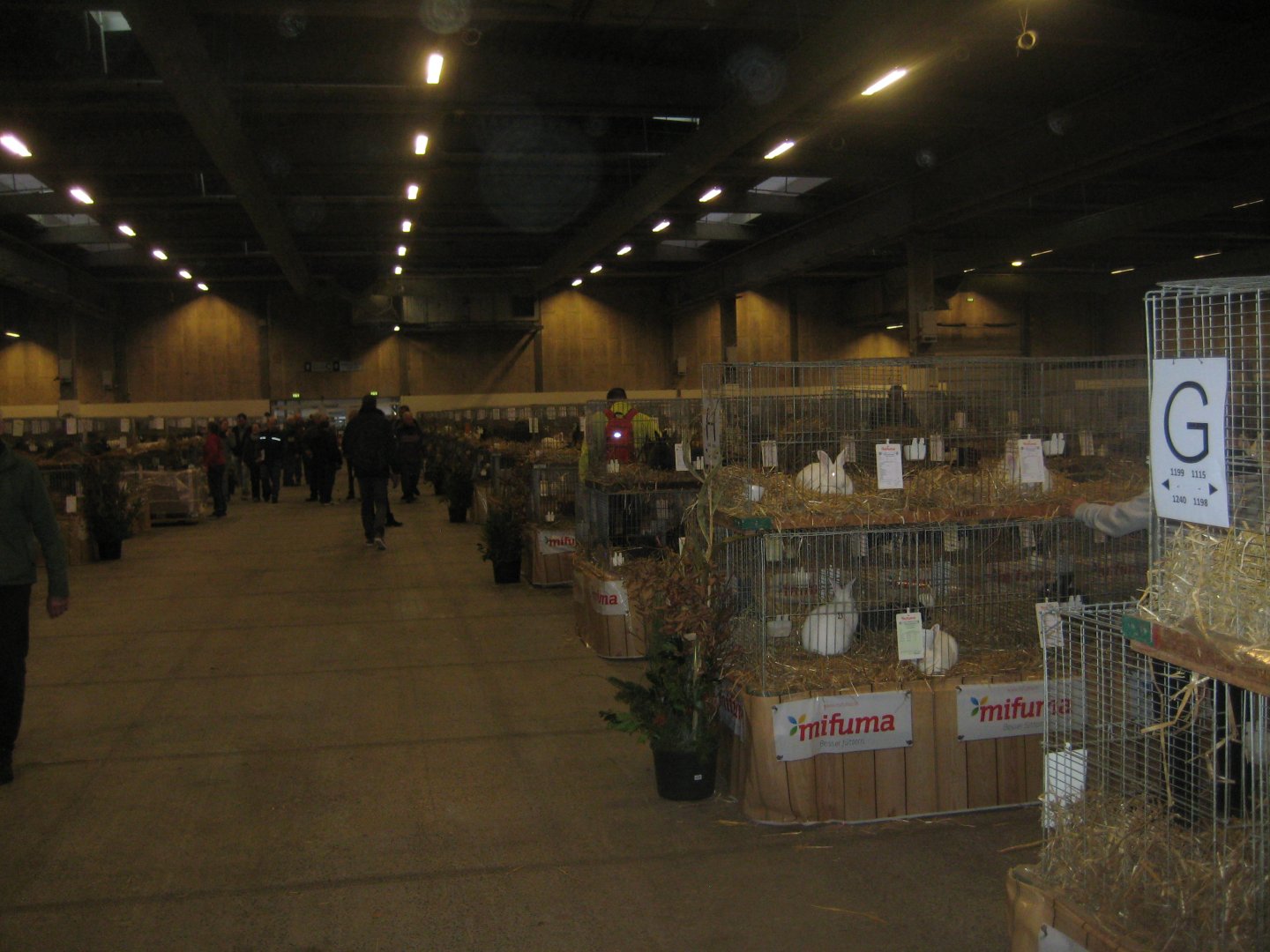 Europaschau 2018 - Rabbit hall #1