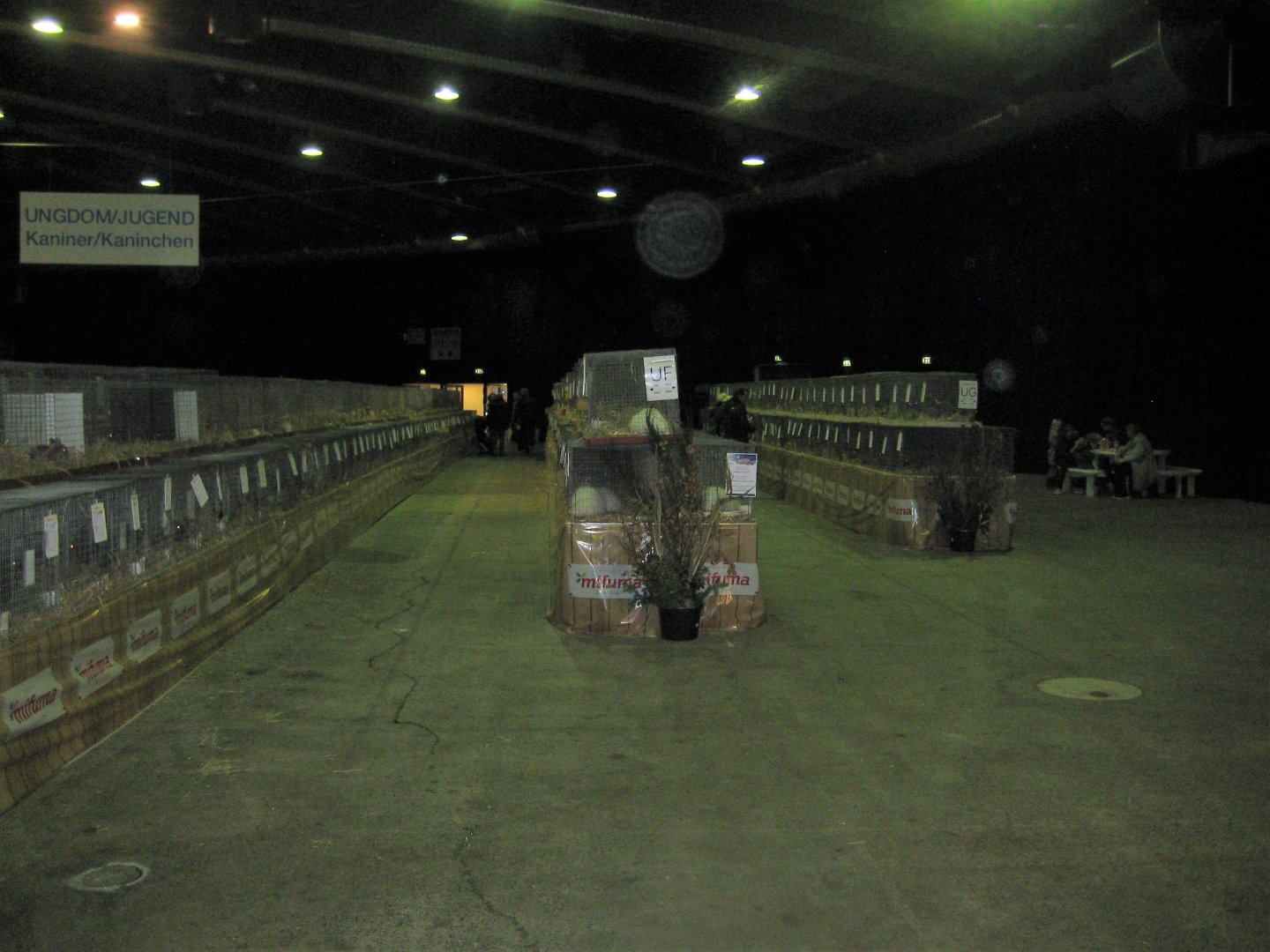 Europaschau 2018 - Rabbit hall #2