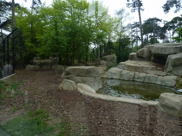 Europe; Iberian wolf enclosure