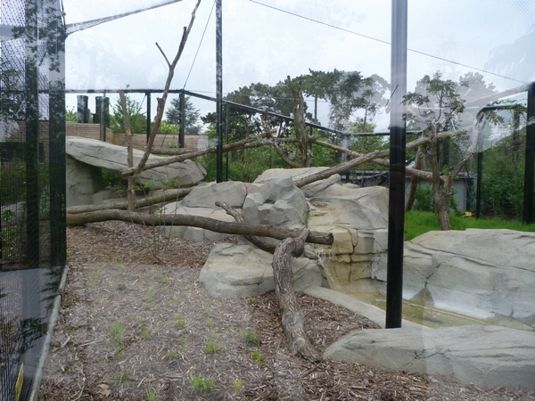 Europe; lynx enclosure