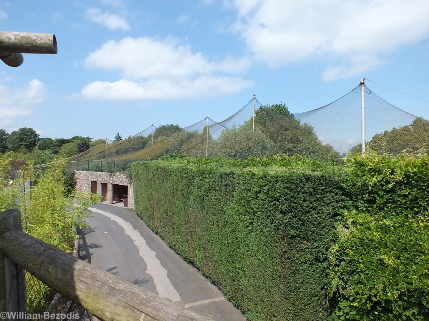 Europe on the Edge Aviary