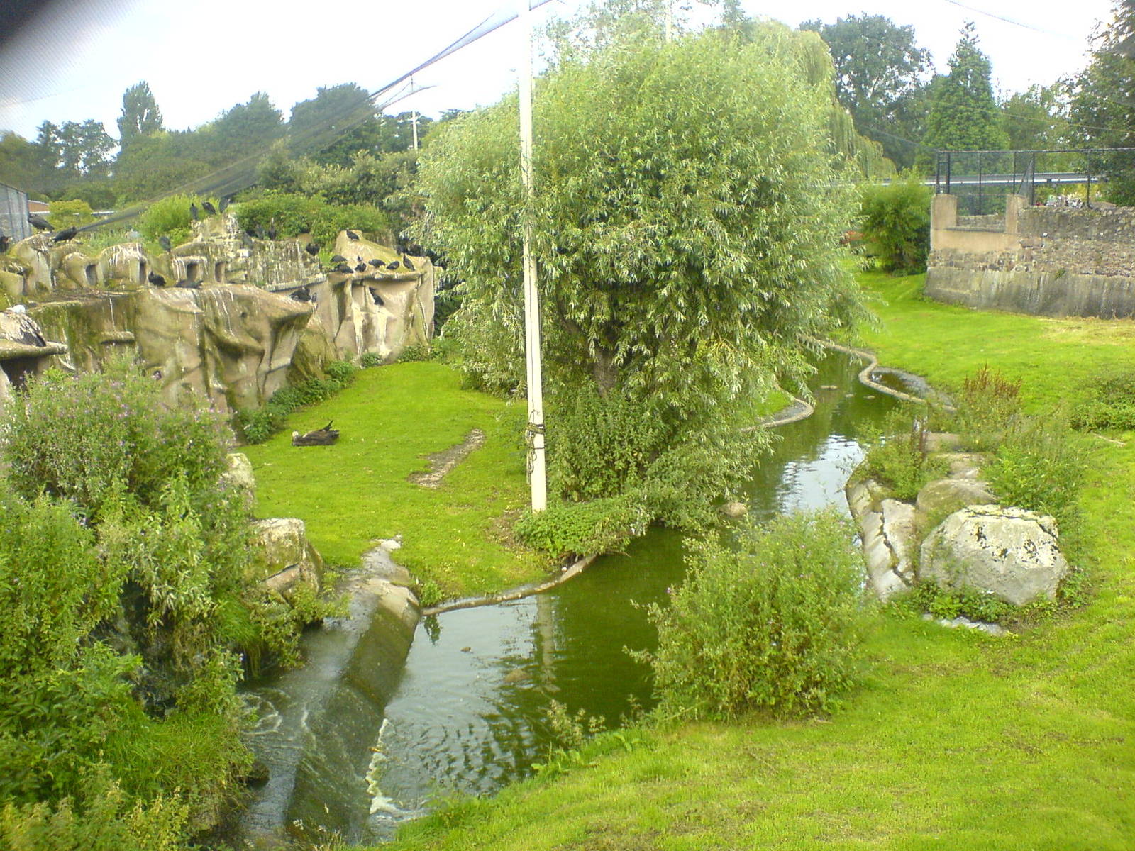 Europe on the Edge aviary