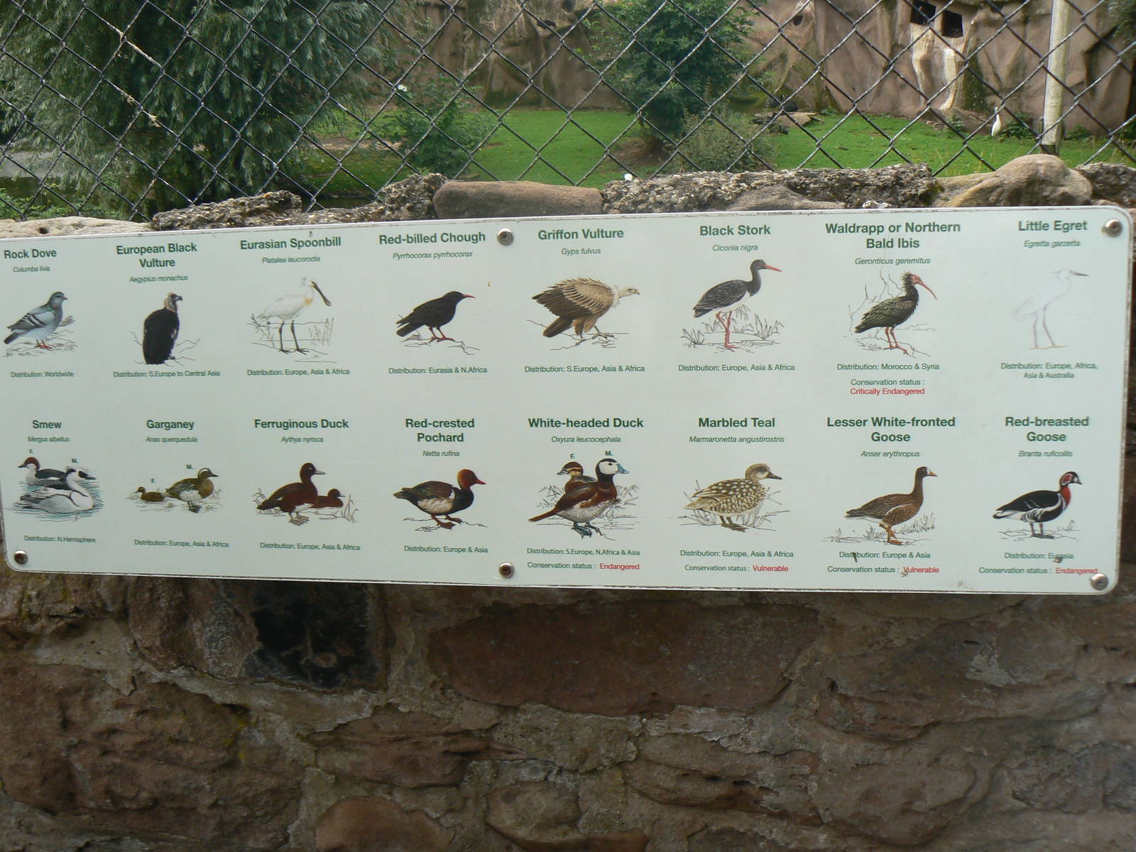 Europe On The Edge Signage