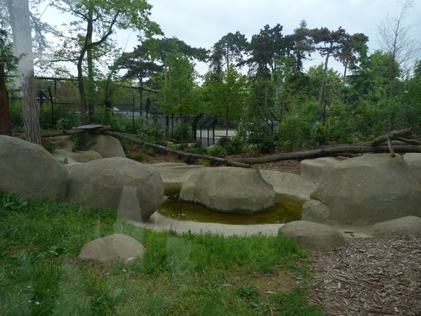 Europe; wolverine enclosure
