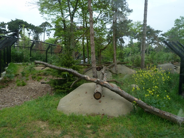 Europe; wolverine enclosure