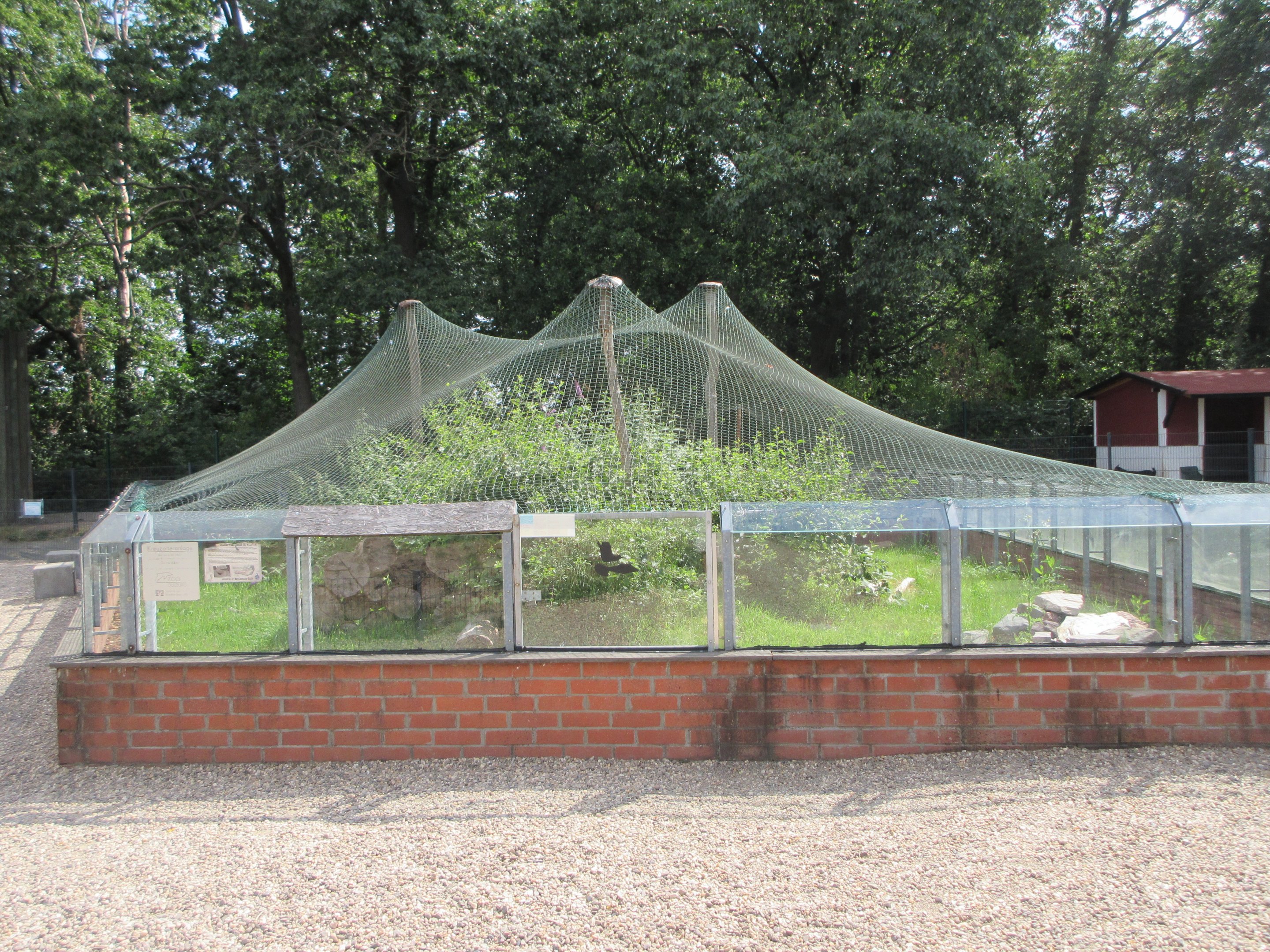 European Adder Exhibit (fantastic!)