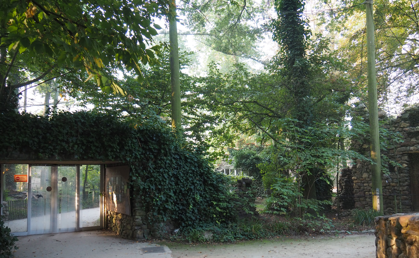 European aviary, 2020-09-16