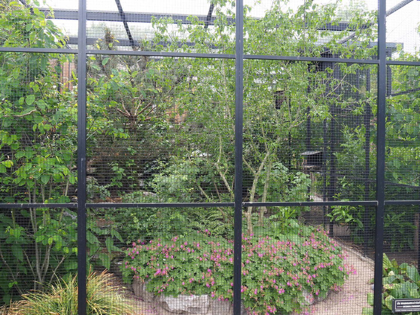 European aviary, 2022-05-17