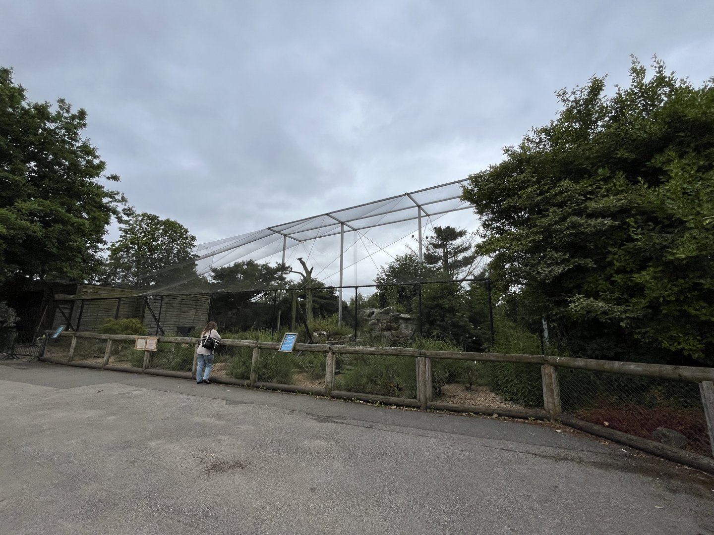 European aviary 29.6.24