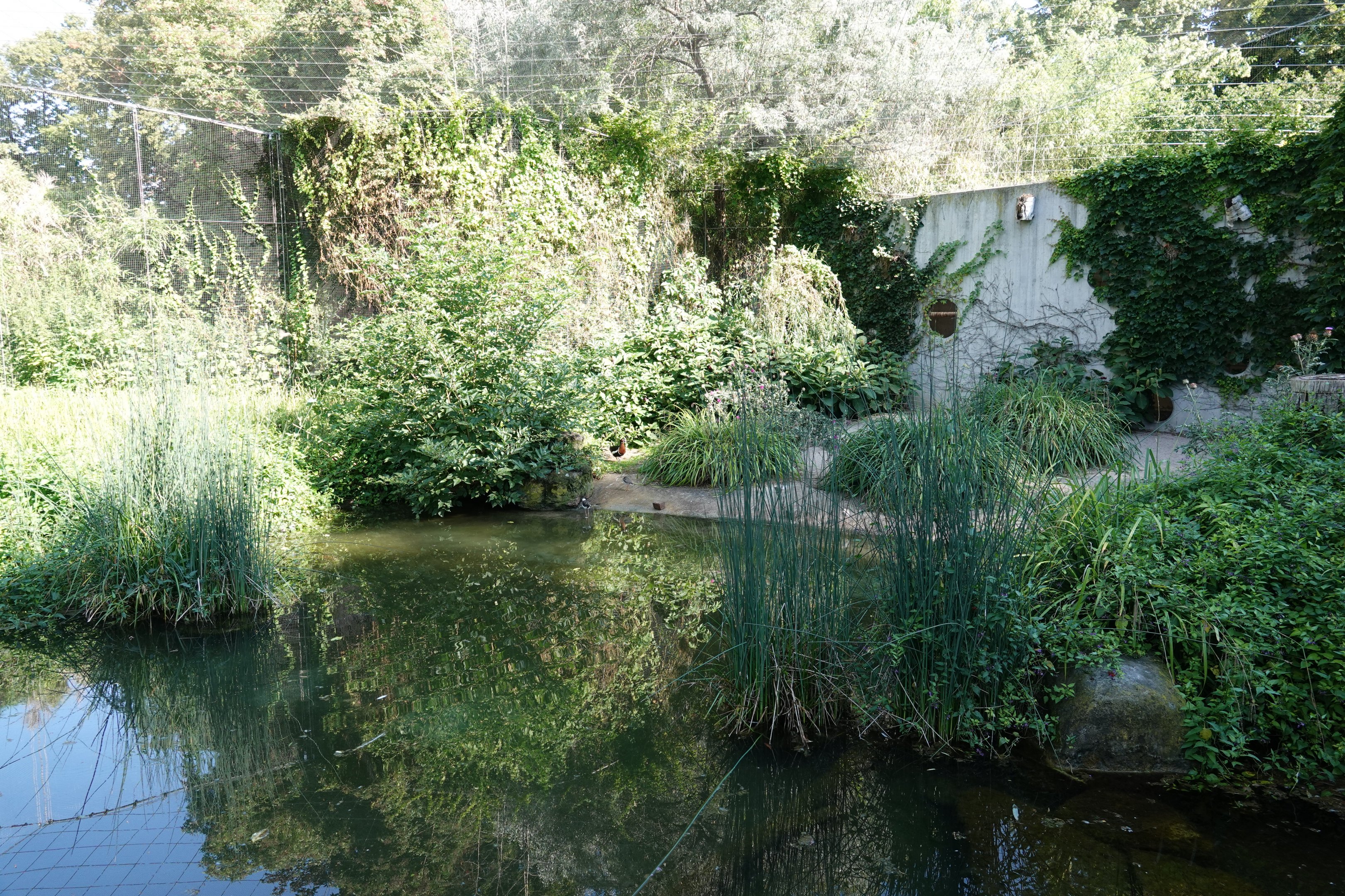 European aviary at the Vogelfreifluganlage