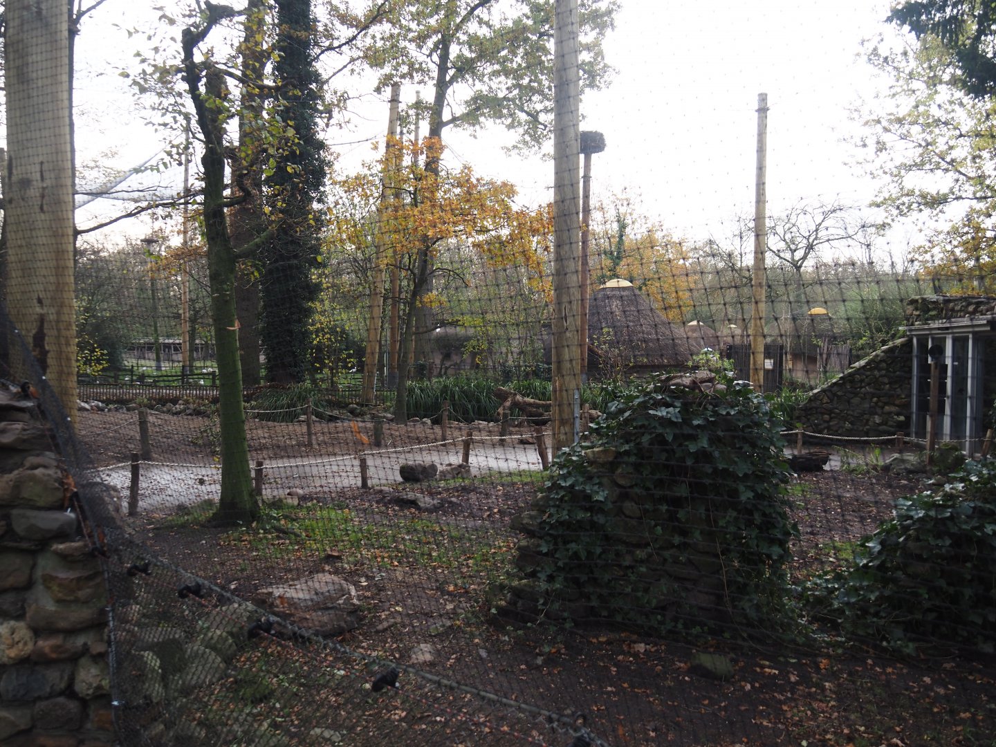 European aviary being renovated, 2024-11-24