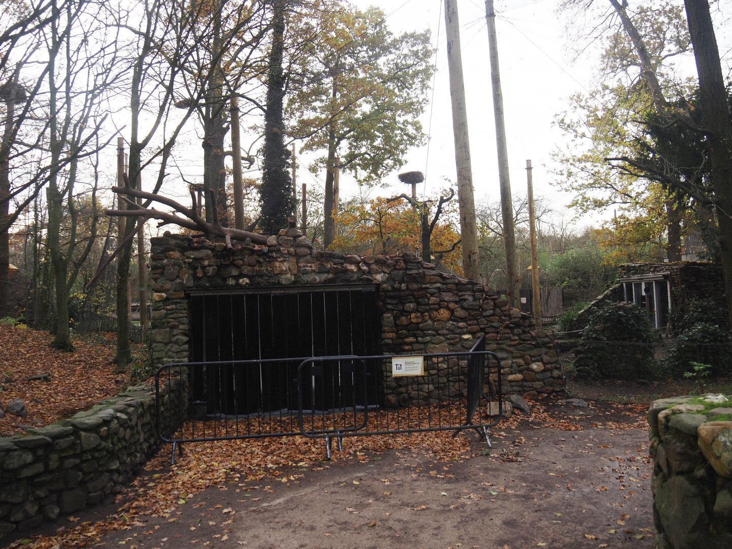 European aviary being renovated, 2024-11-24
