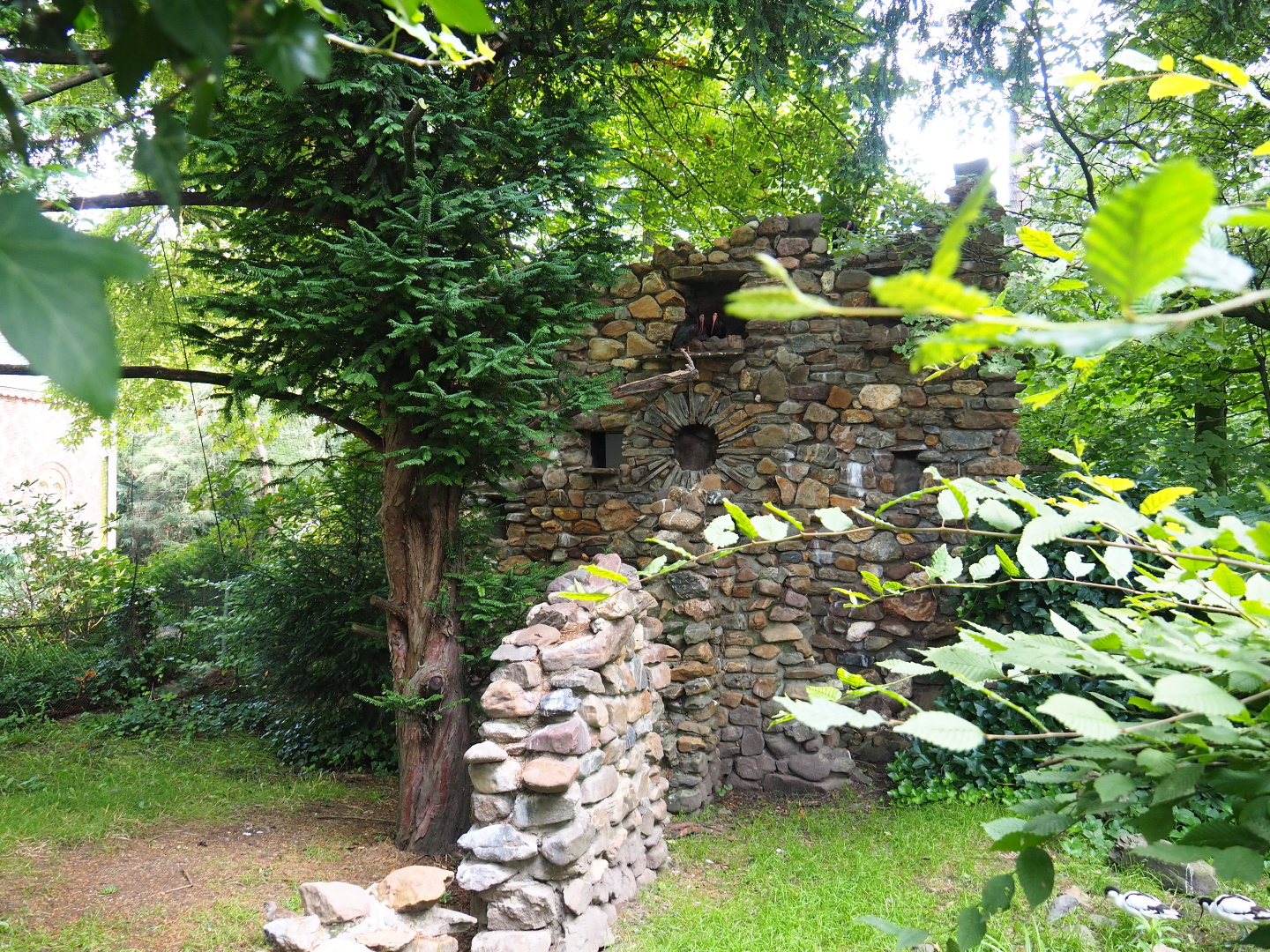 European aviary bird house, 2021-07-20