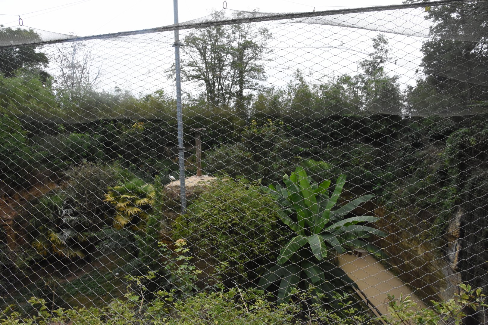 European aviary from above