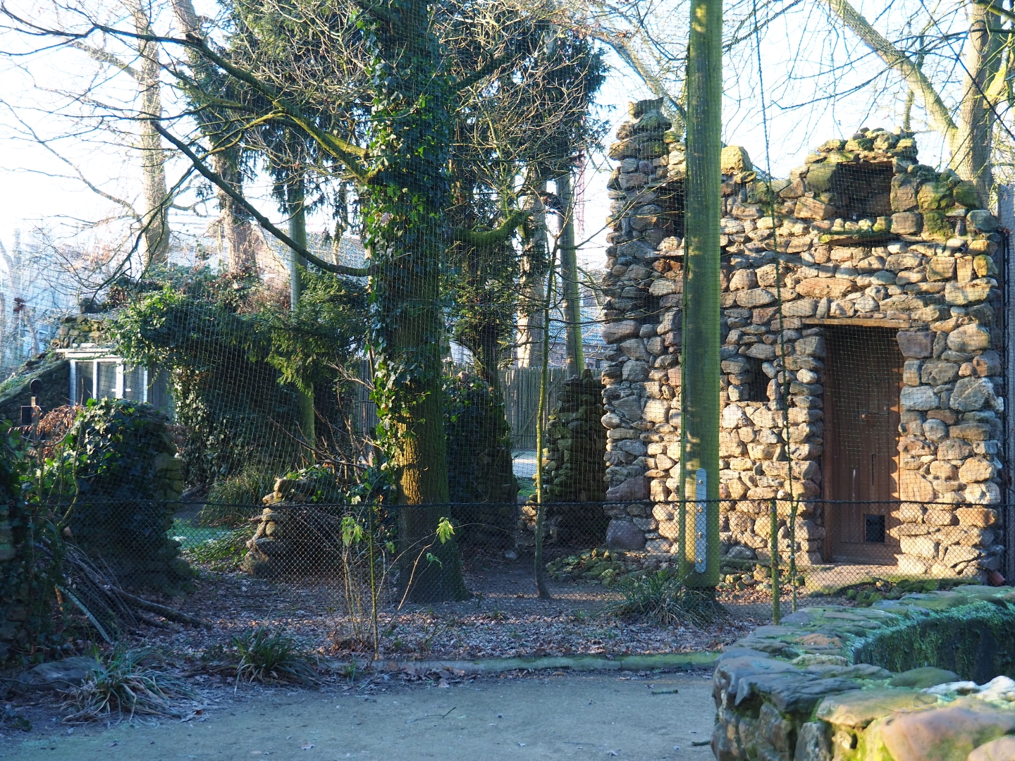 European aviary (Jan 20th, 2019)