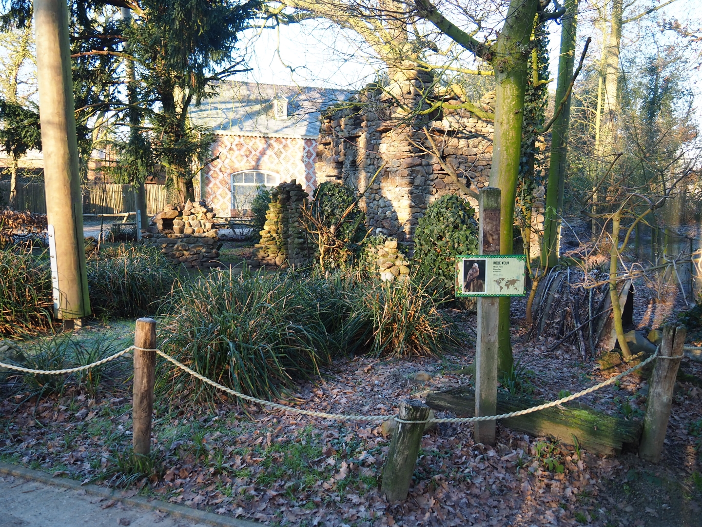 European aviary (Jan 20th, 2019)