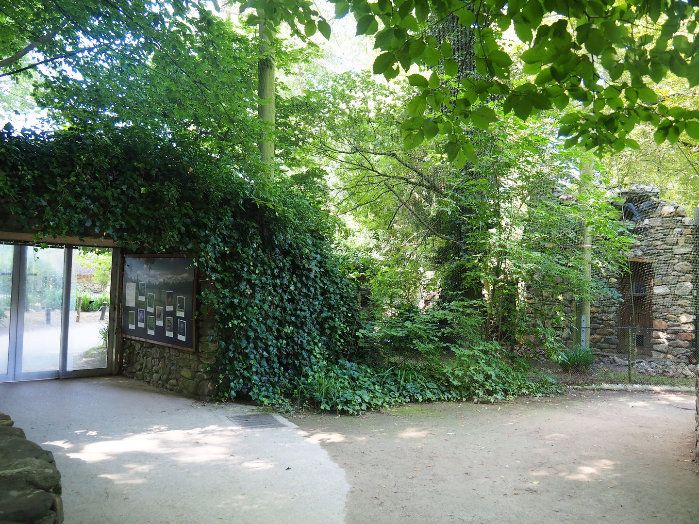 European aviary - Rabbit/Badger side doors and bird house, 2022-07-03