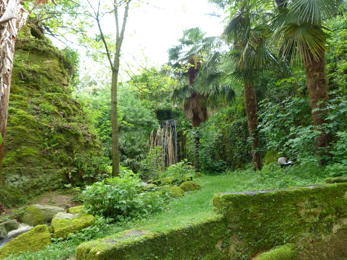 European aviary view -Bioparc de Doué la Fontaine (2025)