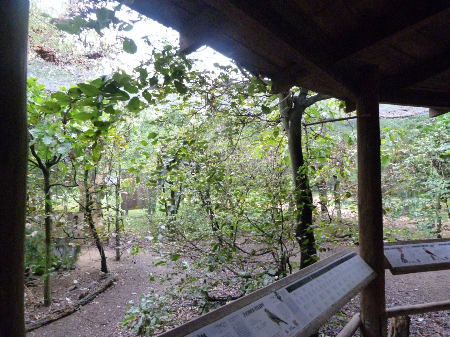 European aviary -Zoo Praha (2025)