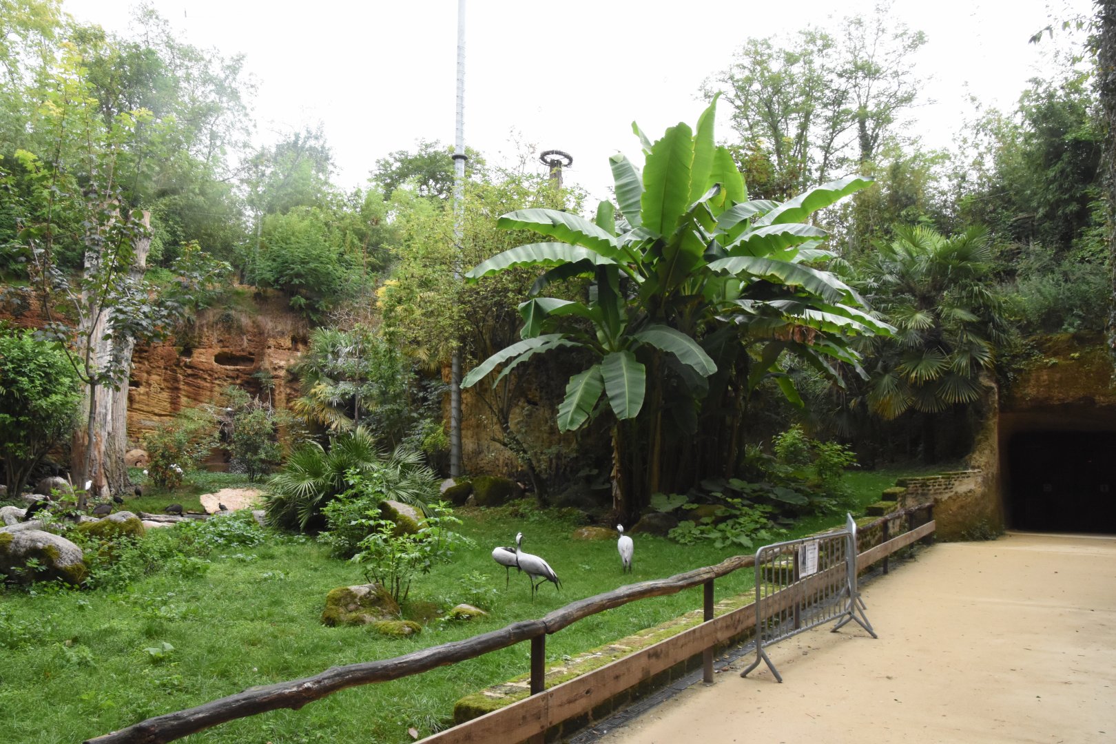 European aviary