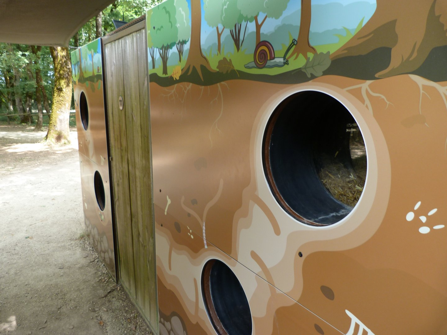 European badger and European red fox indoors exhibit -Zoodyssée (2025)