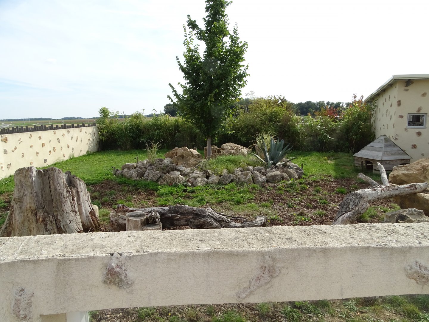European badger and indian crested porcupine exhibit
