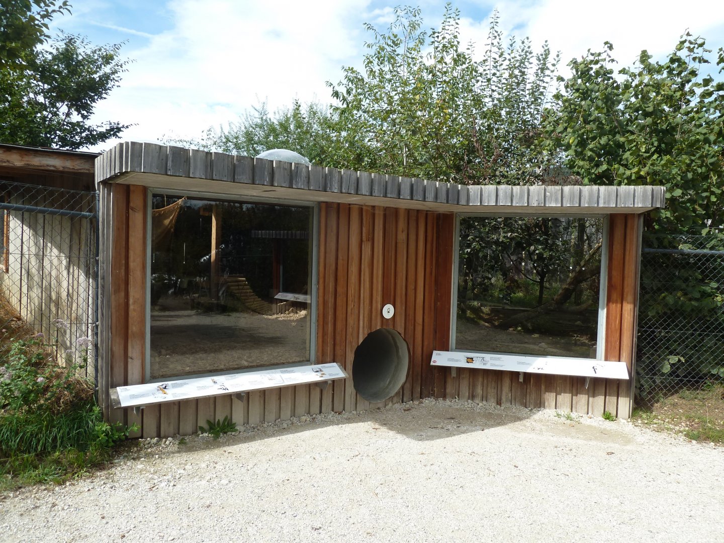 European badger and stone marten viewing points