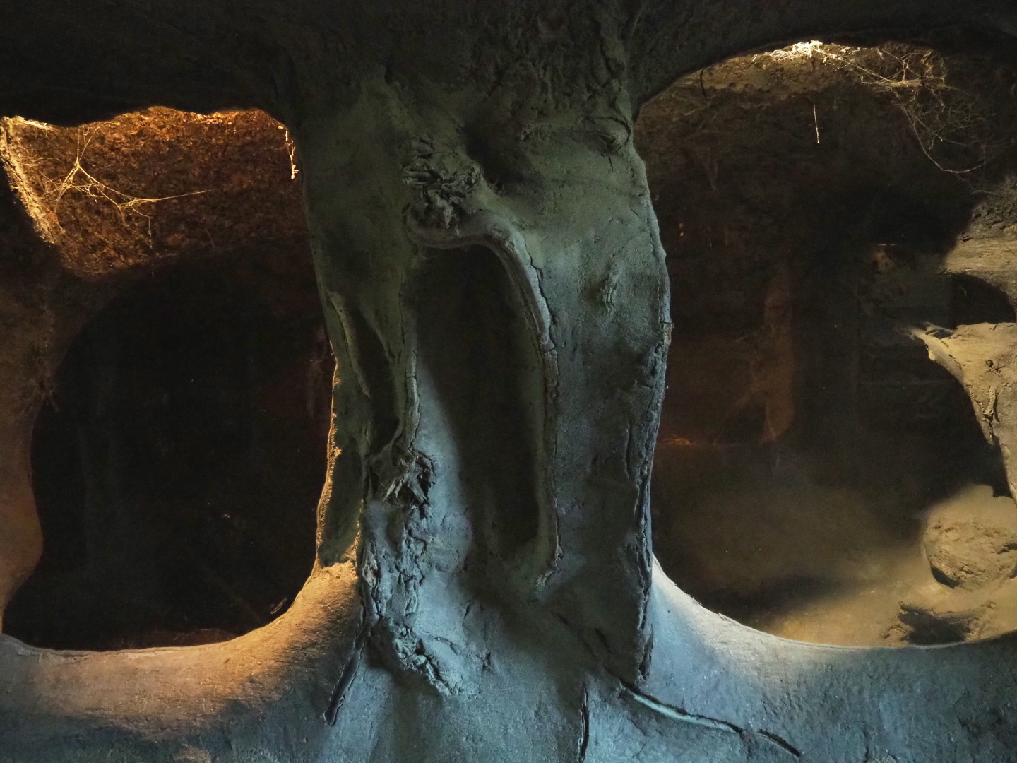 European badger den, 2021-06-01