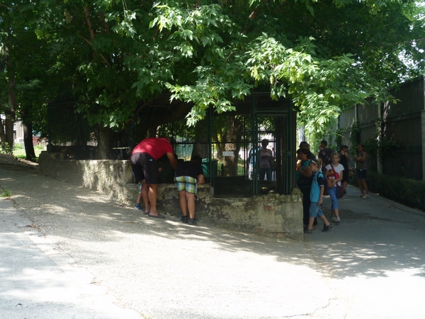 European badger enclosure