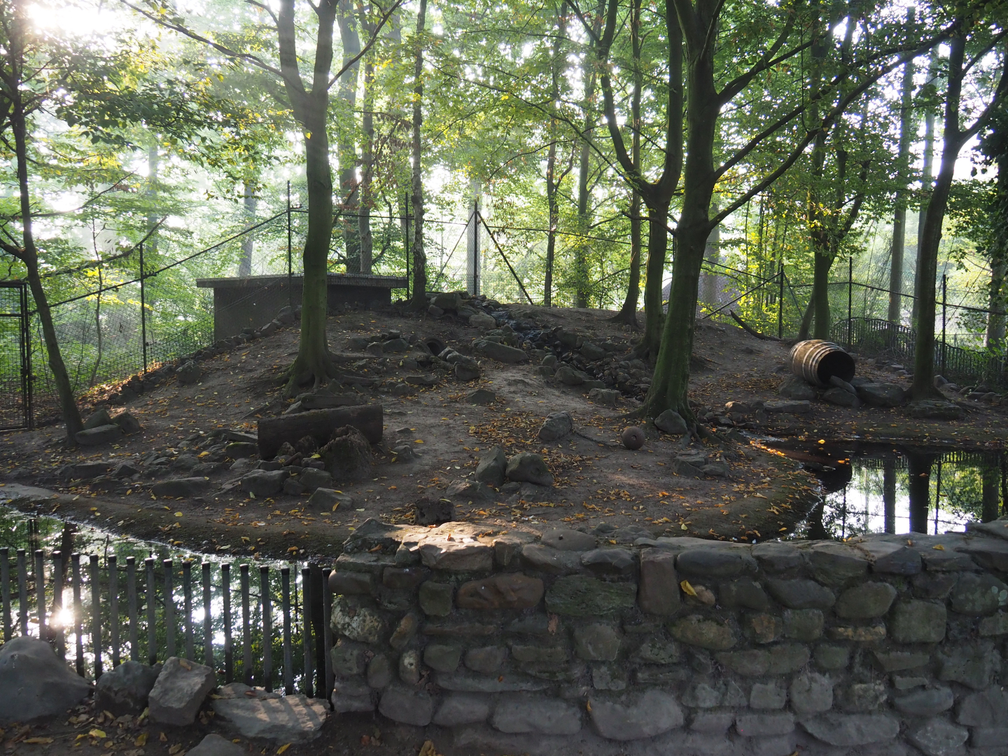 European badger exhibit, 2020-09-16