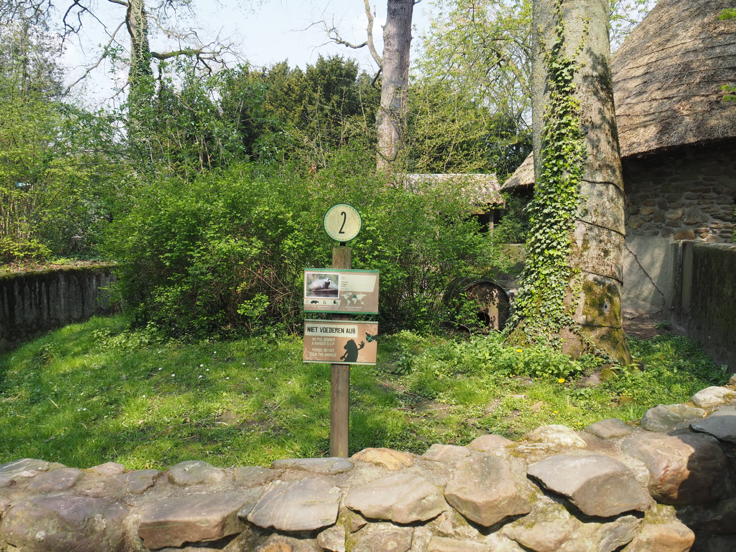 European badger exhibit (Former raccoon exhibit), 2021-04-20