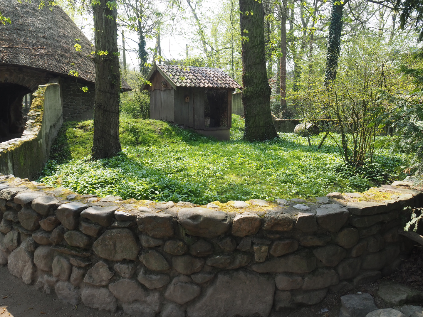 European badger exhibit (Former raccoon exhibit), 2021-04-20