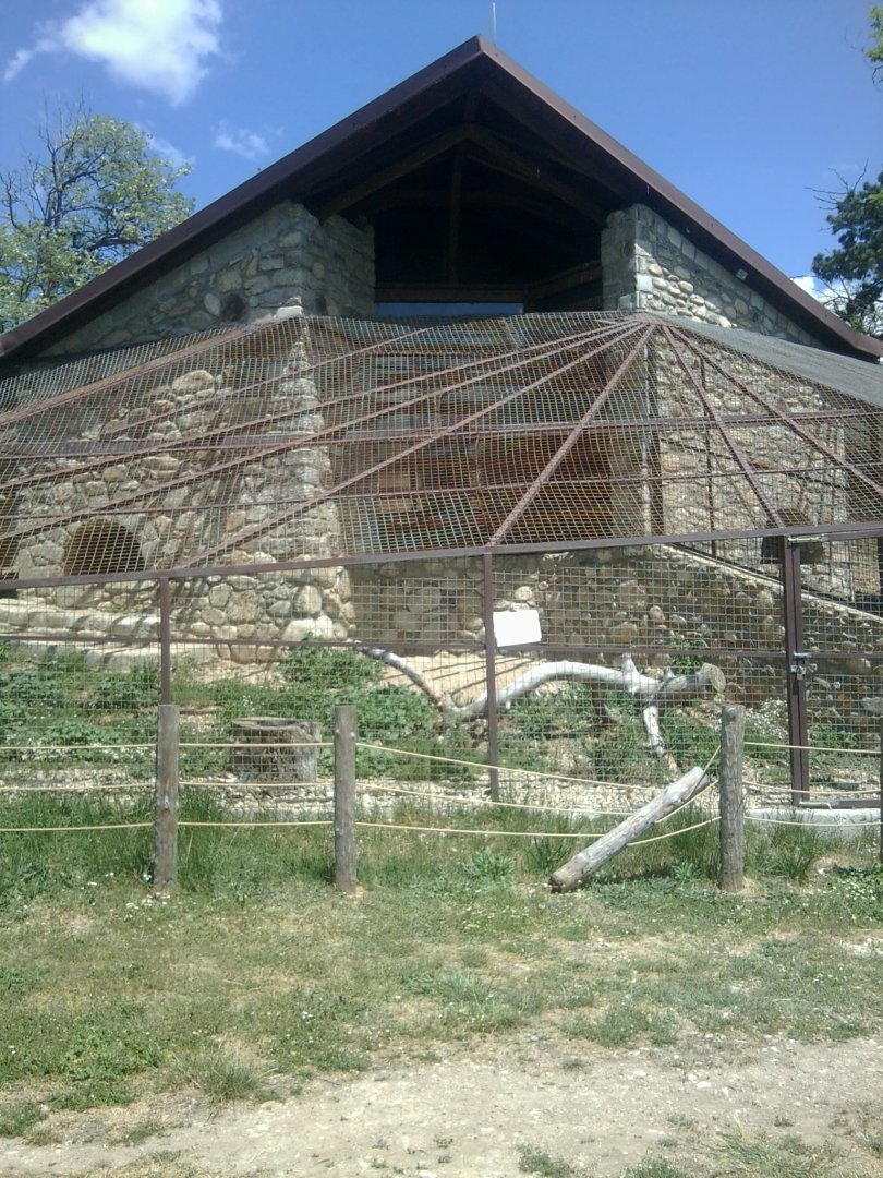 European badger exhibit
