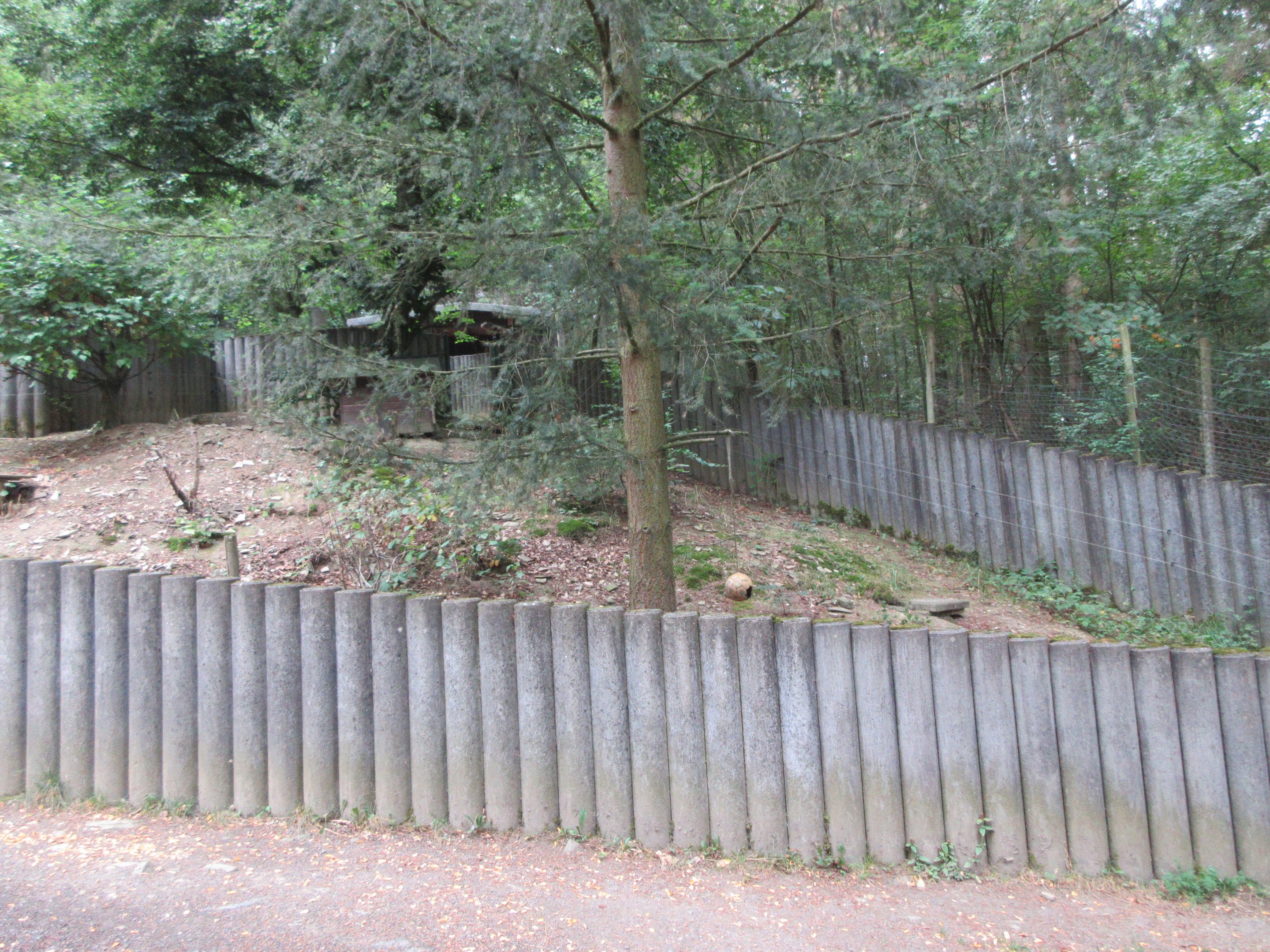 European Badger Exhibit