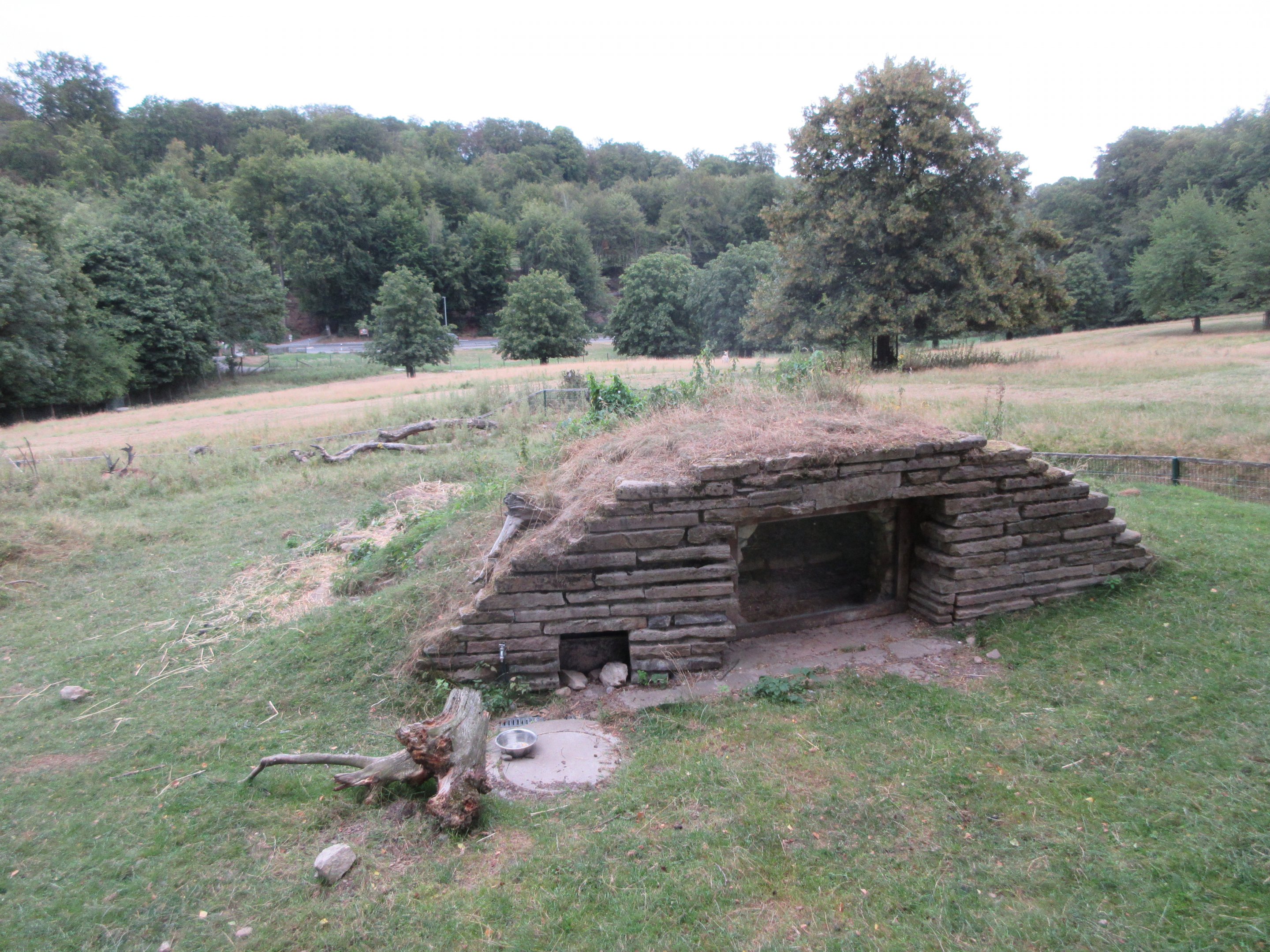 European Badger Exhibit