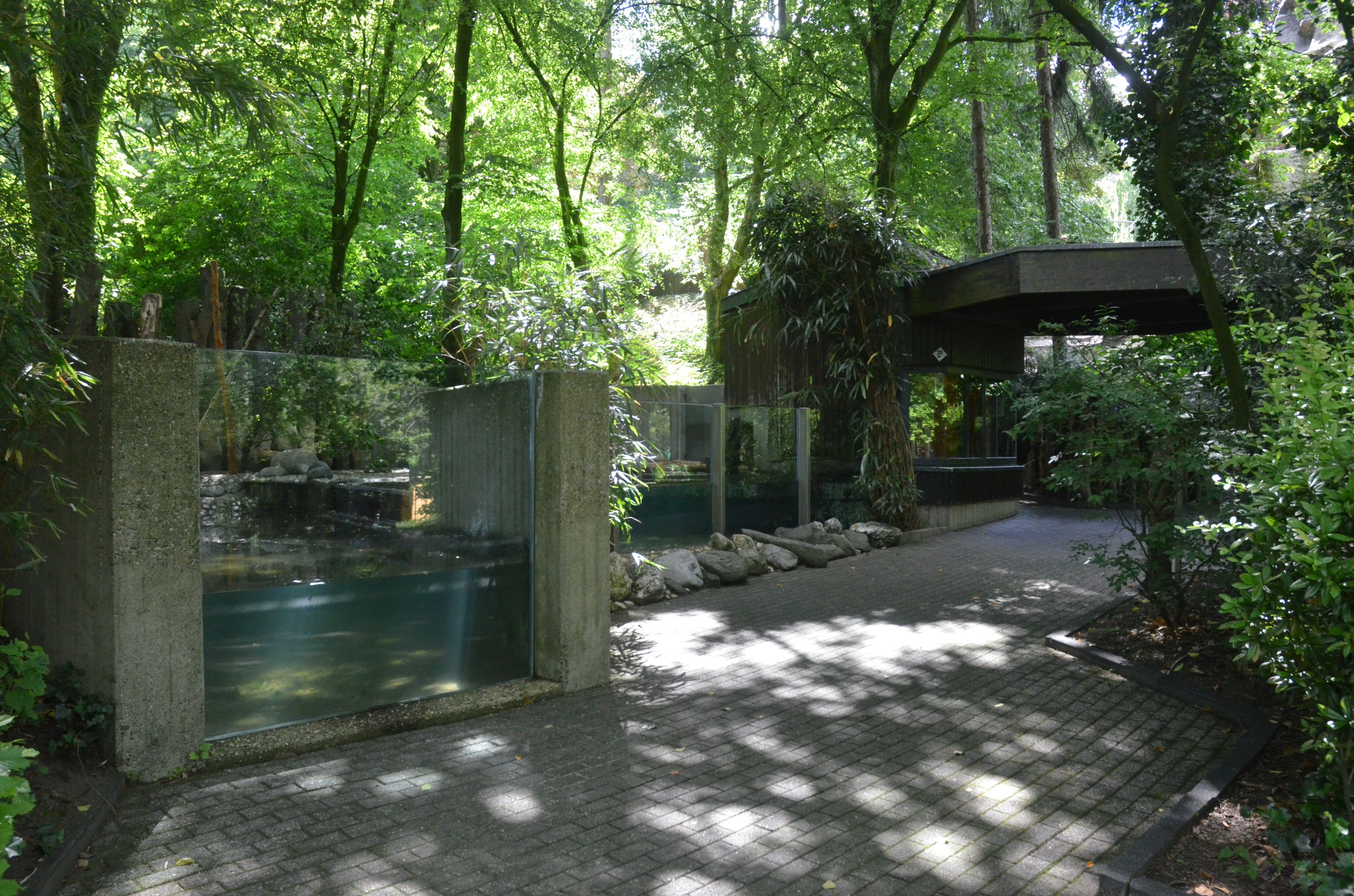 European Beaver Enclosure at Wuppertal, 16/06/19