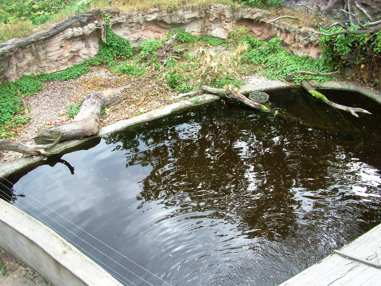 European Beaver Exhibit at Chomutov, 30/08/12