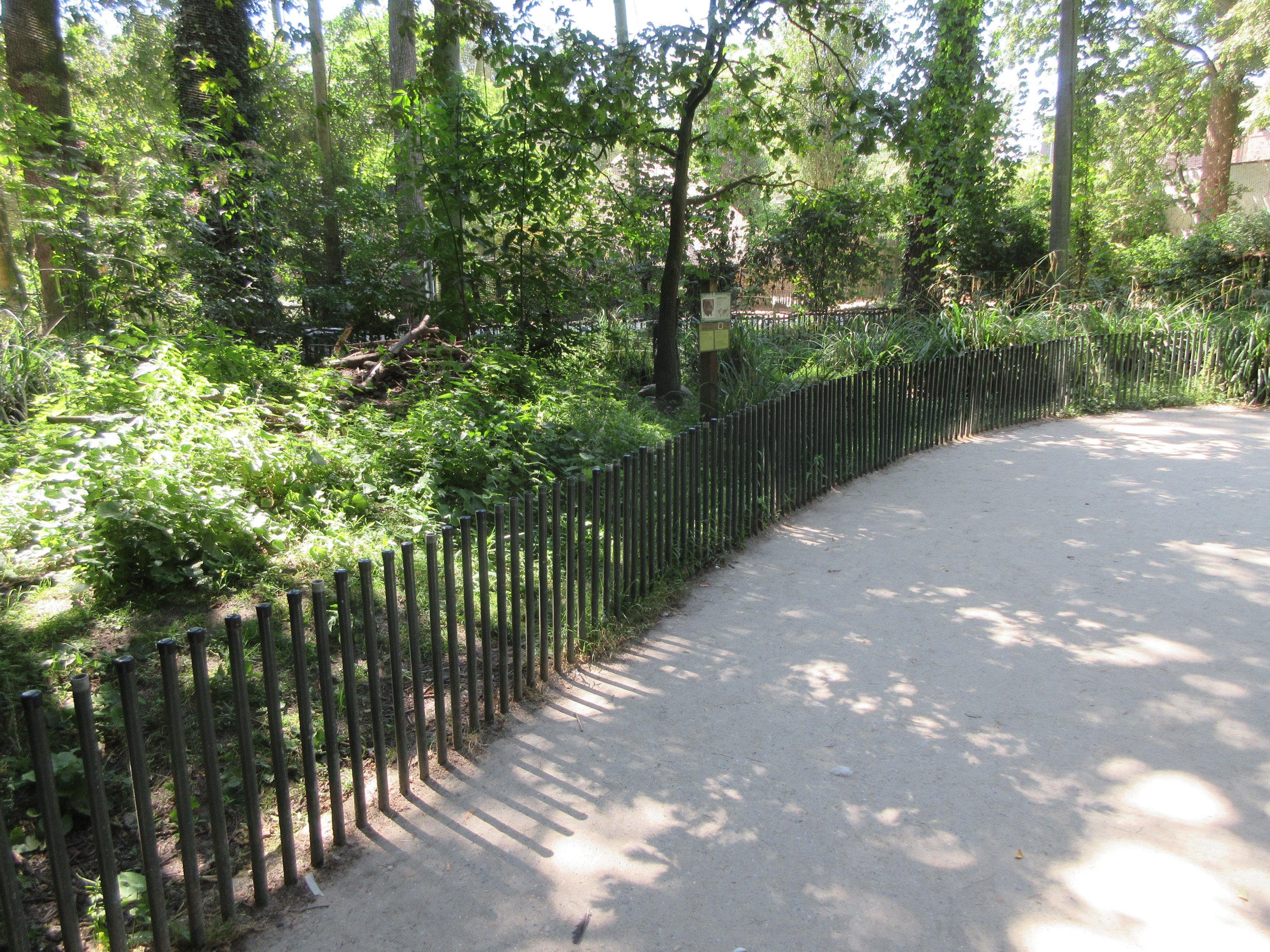 European Beaver Exhibit - reach over and touch a beaver!