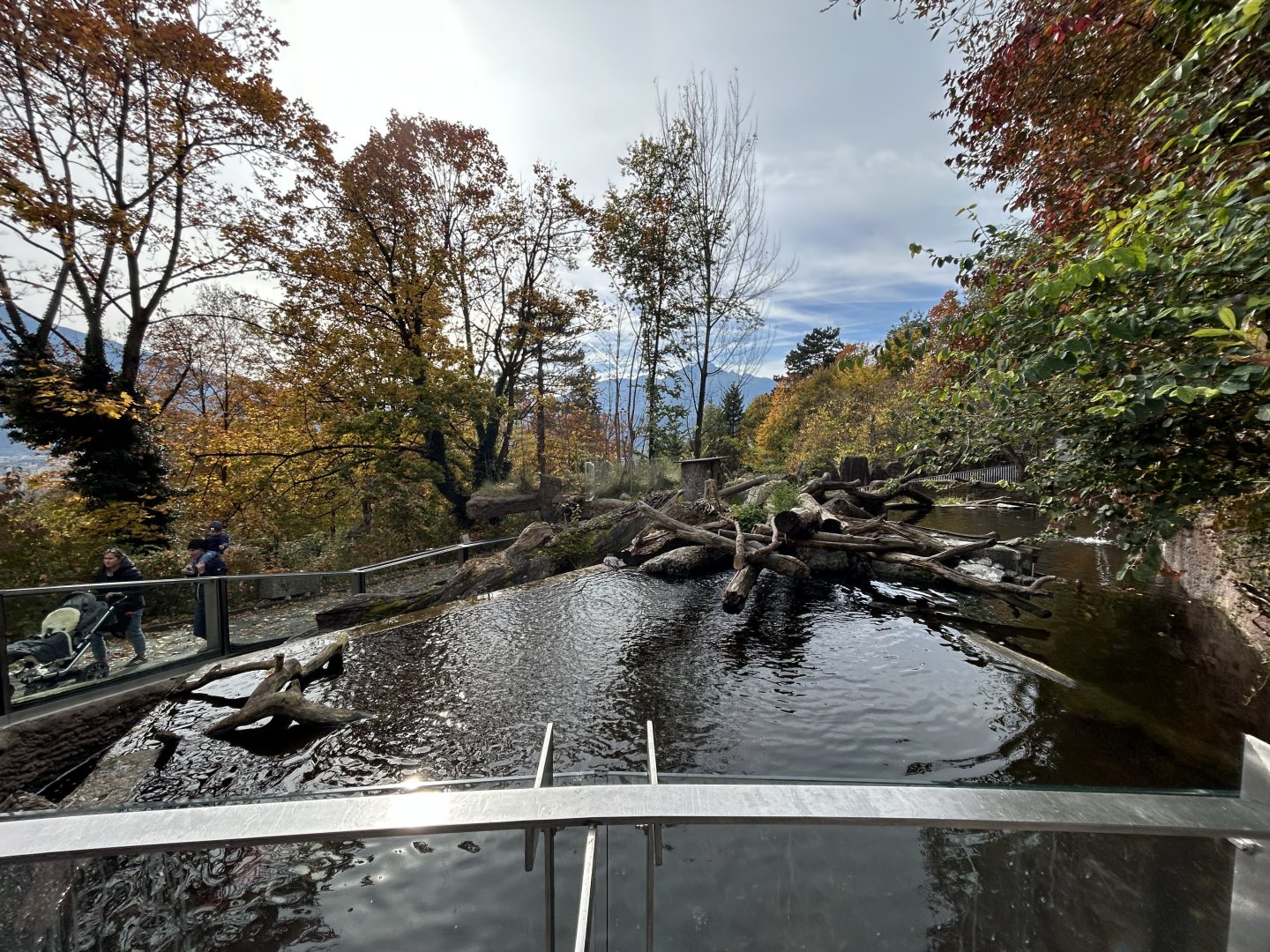 European Beaver Exhibit