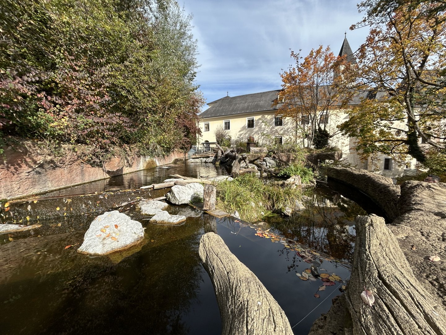 European Beaver Exhibit
