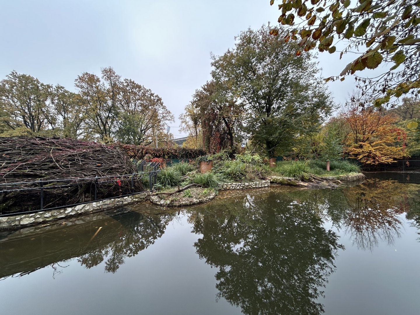 European Beaver Exhibit